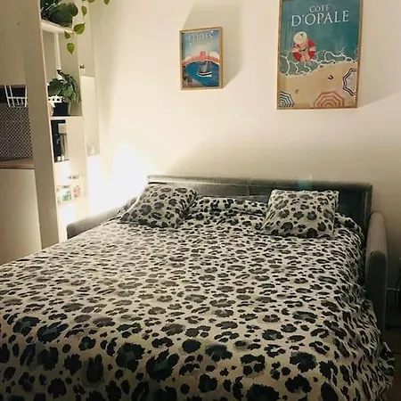 Renove A Deux Pas Du Port - Escale Opaline Apartament